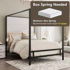 Queen Canopy Bed with Tall Velvet Upholstered Headboard
